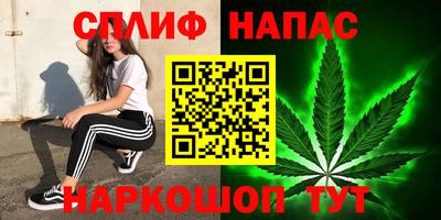 бошки Будённовск