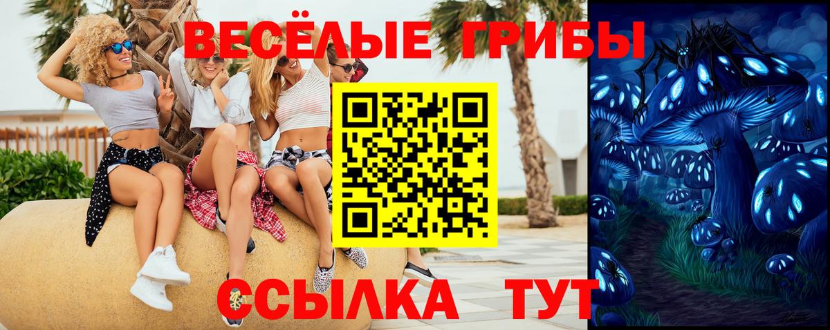 где можно купить наркотик  Вход с VPN  Курчатов  Псилоцибиновые грибы GOLDEN TEACHER 